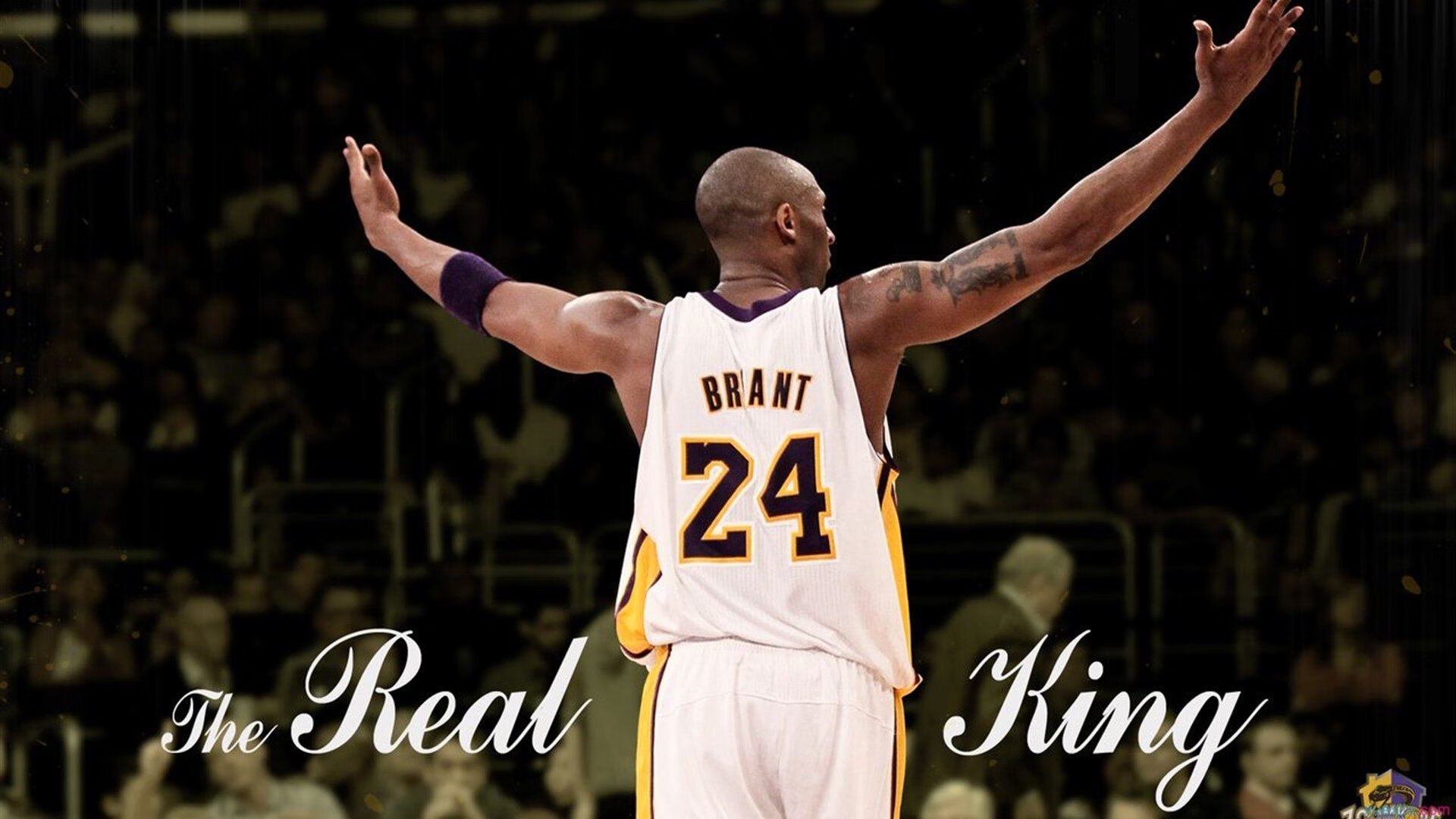 球员心理辅导资源匮乏，球员心理辅导资源匮乏的表现